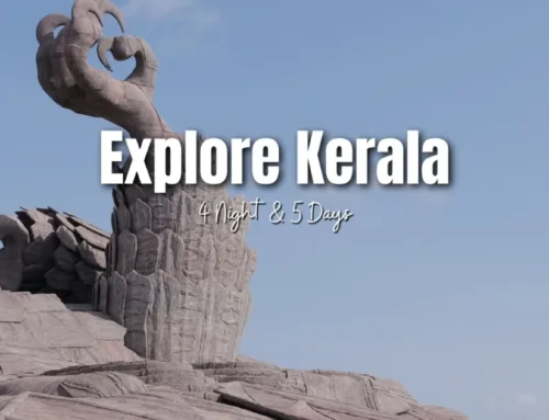Explore Kerala Including Munnar & Thekkady