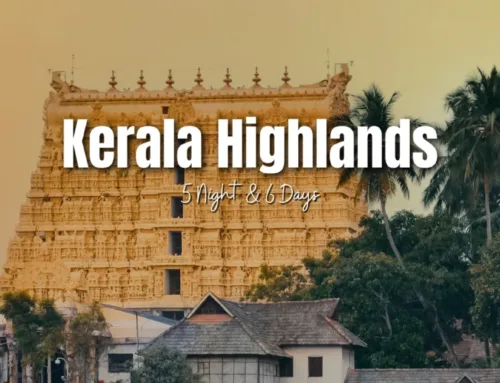 Kerala Highlands & Backwaters Escape Tour.