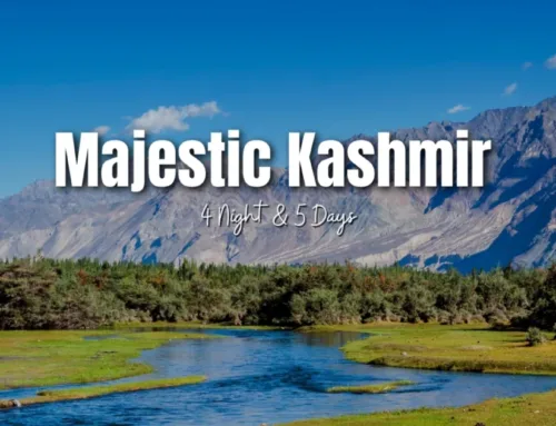Majestic Kashmir
